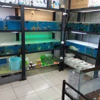 فروش آکواریوم