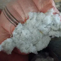 فروش حلیج کیلو 22