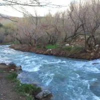 طبیعت گردی