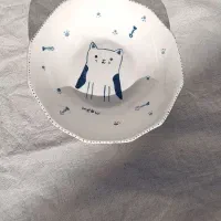 ظروف سرامیکی فانتزی