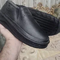 کفش مردانه چرمی نو|کیف، کفش، کمربند|تبریز, |دیوار