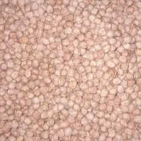 نخود دیم|عمده‌فروشی|همدان, |دیوار