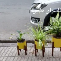 پایه گل و گلدون سه تایی|گل و گیاه طبیعی|مشهد, تلگرد|دیوار