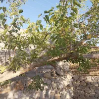 نیازبه نیروکارآموزوکالت