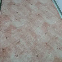 ۲ عدد پالاز موکت