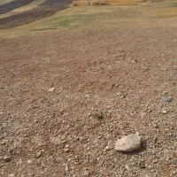 فروش فوری زمین کشاورزی|فروش زمین و ملک کلنگی|کندوان, |دیوار