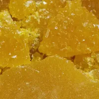 نبات زعفرانی یزدی