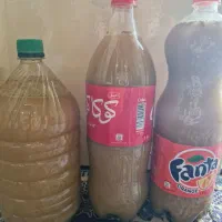 آبغوره تازه امساله