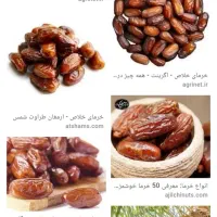 معاوزه خرما خلس با کفتر پرنده