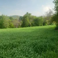 فروش-زمین