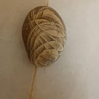 سنگ زیبا قیمتی