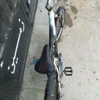 دوچرخه 20|دوچرخه، اسکیت، اسکوتر|شیراز, دوکوهک|دیوار