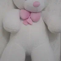 خرس بزرگ ۱۷۰ سانتی