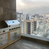 ۵۵۰متر پنت هاوس(Penthouse)*کامرانیه شمالی* بی همتا|اجارهٔ آپارتمان|تهران, کامرانیه|دیوار
