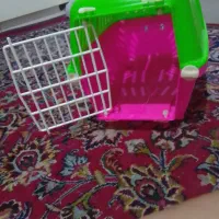 ۸میلیون|سگ|مشهد, شیرودی|دیوار