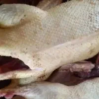 اردک بالغ سنگین مناسب کشتار و تخم نطفه دار اردک|حیوانات مزرعه|لاهیجان, لفمجان|دیوار