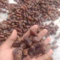 خرما|خوردنی و آشامیدنی|طرقبه, |دیوار