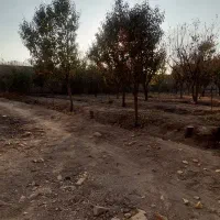 فروش باغ ۲۴۰۰ متر دیوارکشی شده در قهجاورستان|فروش خانه و ویلا|اصفهان, قهجاورستان|دیوار