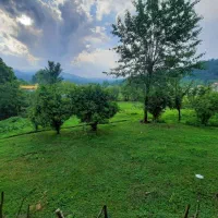 زمین سندار تفکیک شده در ماکلوان|فروش زمین و ملک کلنگی|ماکلوان, |دیوار