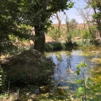 ۶هکتار باغ. سند تک برگ. اکوسیستم بکر و منحصر بفرد.