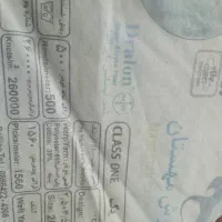 2تخته فرش 9متری|فرش|کنگاور, |دیوار