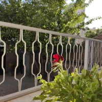 نرده آهنی سالم