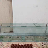 اکواریوم
