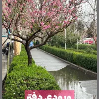 ادمین / کال سنتر / پشتیبانی فروش
