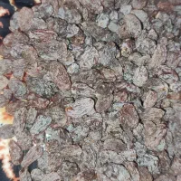 کشمش بدونه هسته درجه یک|خوردنی و آشامیدنی|اسدآباد, |دیوار