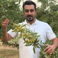 بادام دیرگل تونو