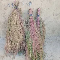 جارو|جاروبرقی، جارو شارژی، بخارشو|ملایر, |دیوار