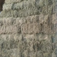 یونجه چین دوم