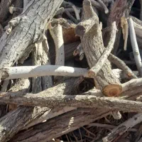 چوب شومینه ای خشک خشک فقط برای اتش