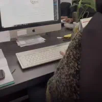 خدمات حسابداری برای حل مسئله های درسی