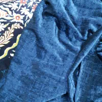 پادری و پرده مخمل|پادری|اصفهان, خانه اصفهان|دیوار