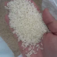 برنج هاشمی اصل دره رود