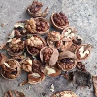 گردو فسنجونی ۶۰درصدسفید|خوردنی و آشامیدنی|اصفهان, کشاورزی|دیوار