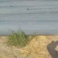 بارلوله از یزد