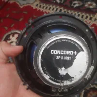 باند اصلی  کنکورد|قطعات یدکی و لوازم جانبی|تربت‌حیدریه, باغ ملی|دیوار