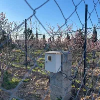 باغچه ۵۰۰‌متری شهرکی سند‌ تک‌برگ‌ کنتور‌ برق|فروش زمین و ملک کلنگی|رامجین, |دیوار