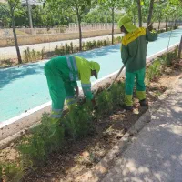 انجام امور باعبانی و فضای سبز|خدمات باغبانی و درختکاری|شیراز, شهرک فرزانگان|دیوار
