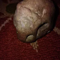 سنگ|کلکسیون اشیاء عتیقه|لشت نشا, |دیوار