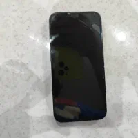 ایفون ۱۳ نرمال درحد نو|موبایل|شاهین‌شهر, نظامی|دیوار