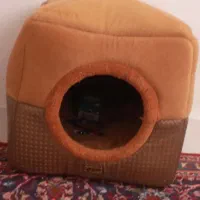 خانه ی گربه نو|لوازم جانبی حیوانات|میانه, |دیوار