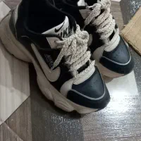 کفش|کیف، کفش، کمربند|کوهدشت, |دیوار