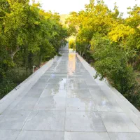 باغچه 1000متری فاروق رویایی