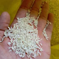 برنج عنبر بو اهواز|خوردنی و آشامیدنی|بندر گناوه, |دیوار