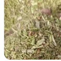 چهار تن کاه خار شتر|حیوانات مزرعه|عطاملک, |دیوار