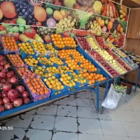 واگذاری-میوه-فروشی