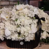 باکس